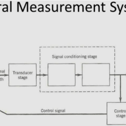 Various hair loss measurement systems identify which of the following