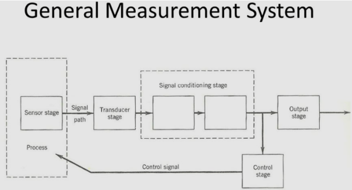 Various hair loss measurement systems identify which of the following